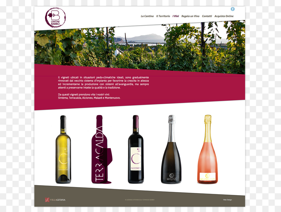 Création De Sites Web，Champagne PNG