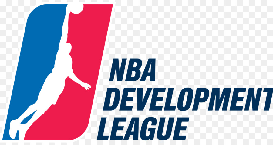 Ligue De Développement Nba，Basket Ball PNG