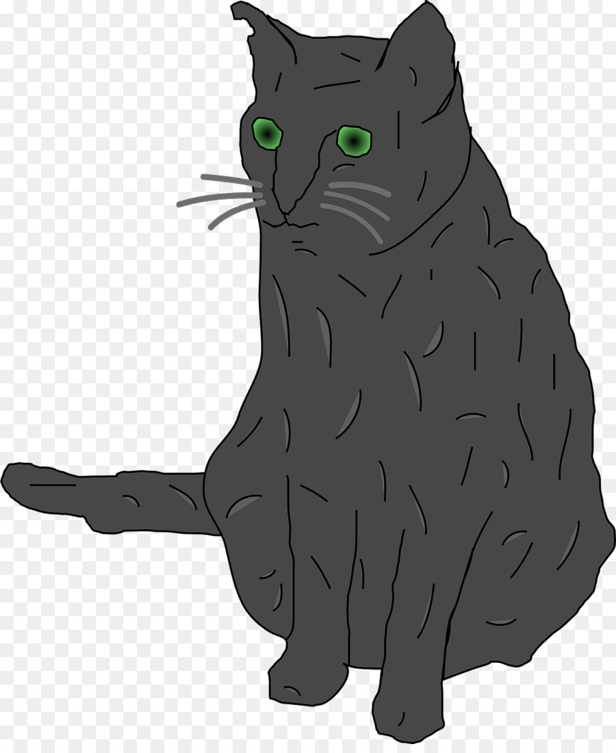 Chat，Animal De Compagnie PNG