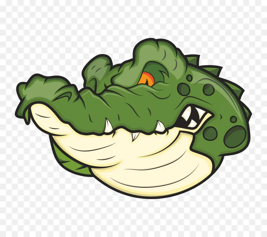 Crocodile，Animal PNG