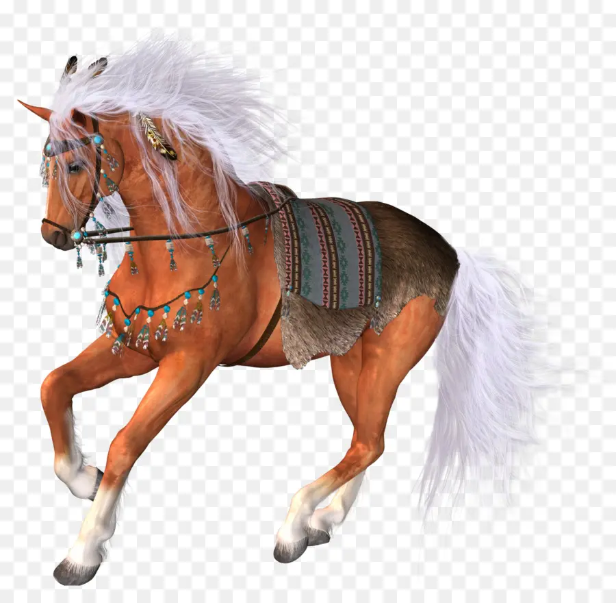 Cheval Gris，étalon PNG