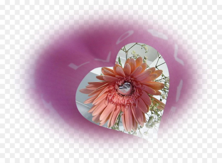 Rose M，Fleur PNG