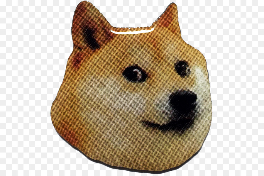 Doge，Chien PNG