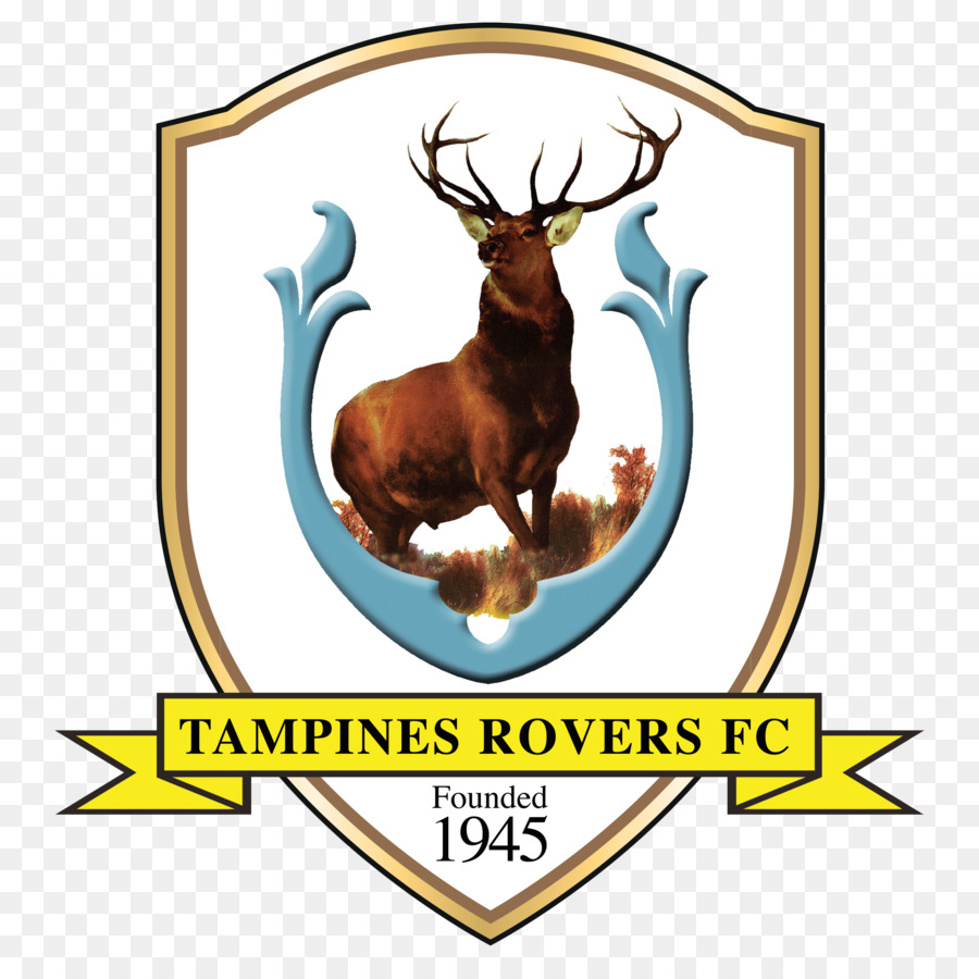 Logo Du Club De Football，Tampines Rovers PNG