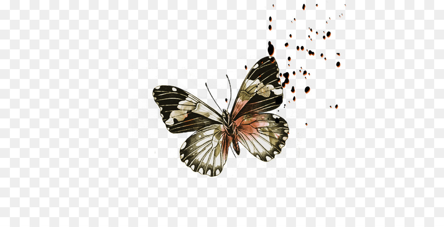 Papillon，Télécharger PNG