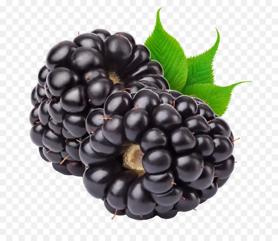 Blackberry，Blanc Blackberry PNG