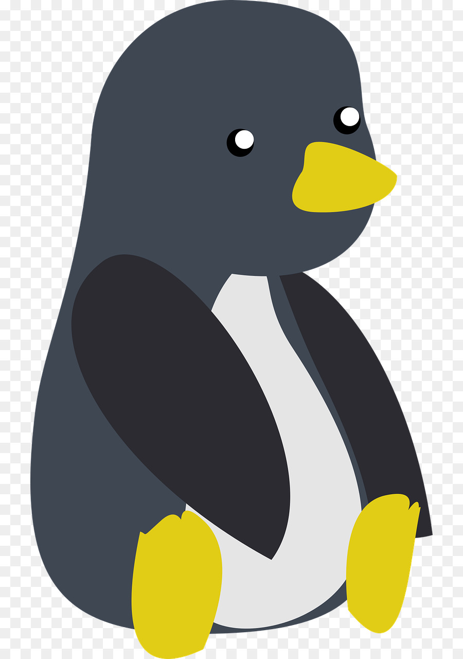 Pingouin，Tshirt PNG
