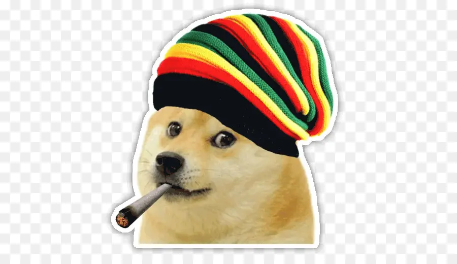 Chien，Chapeau PNG