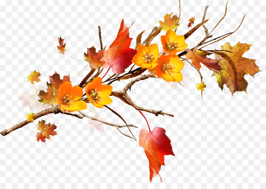 Feuilles Et Fleurs D'automne，Automne PNG