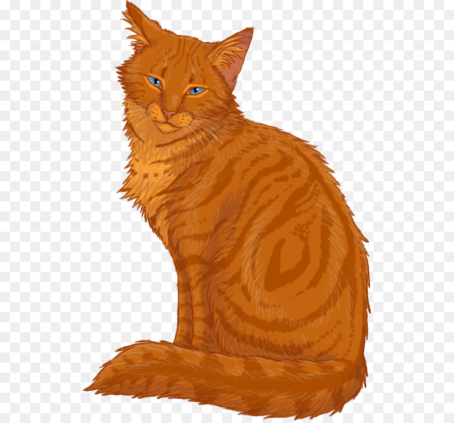 Chat Brun，Animal De Compagnie PNG