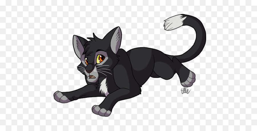 Chat Noir，Animal De Compagnie PNG