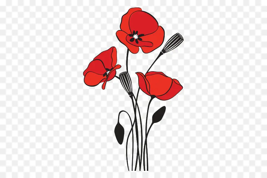 Fleurs Rouges，Coquelicots PNG