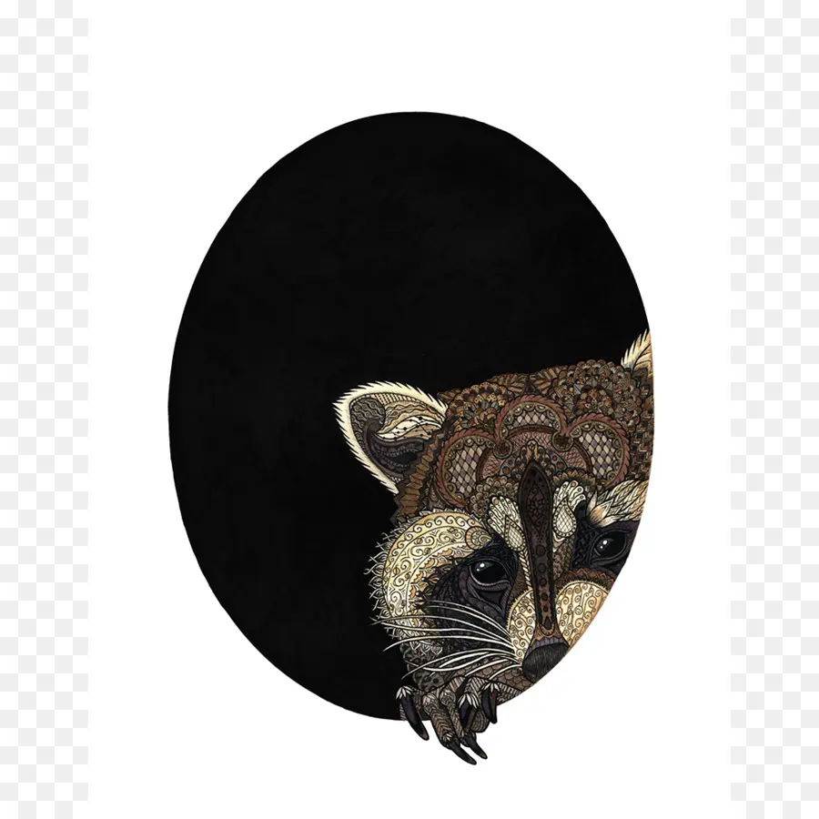 Illustration De Raton Laveur，Animal PNG