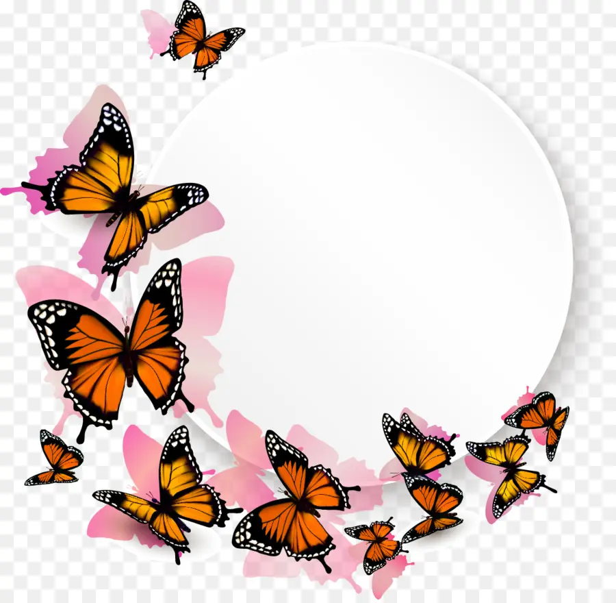 Papillons Et Cercle Blanc，Insectes PNG