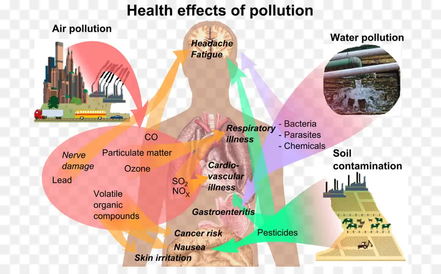 Effet Sur La Santé，La Pollution De L PNG