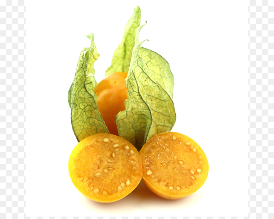 Baies Dorées，Physalis PNG