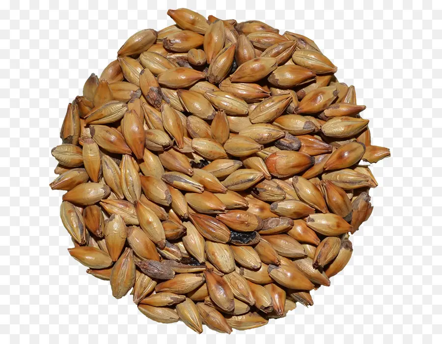 Graines D'orge，Grains PNG