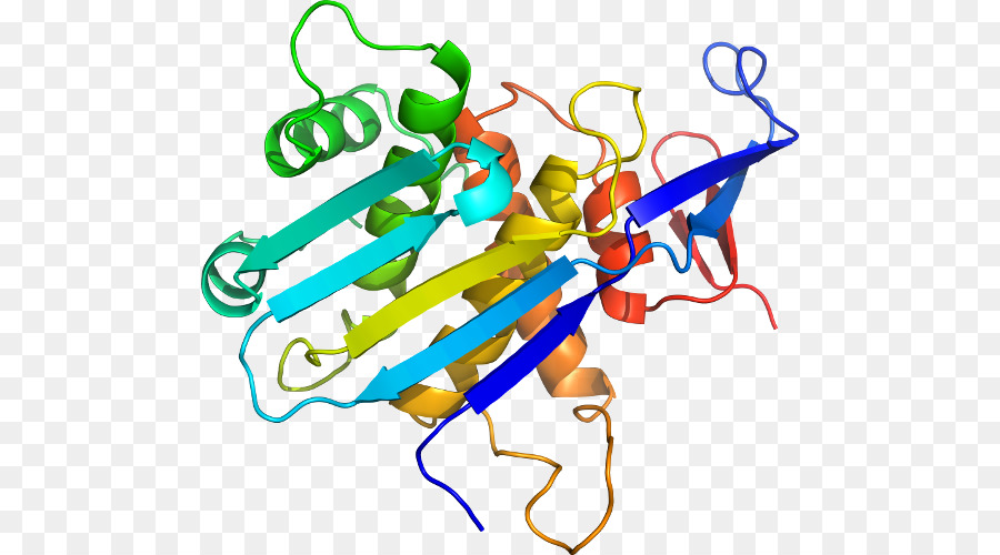 Structure De L'adn，Molécule PNG