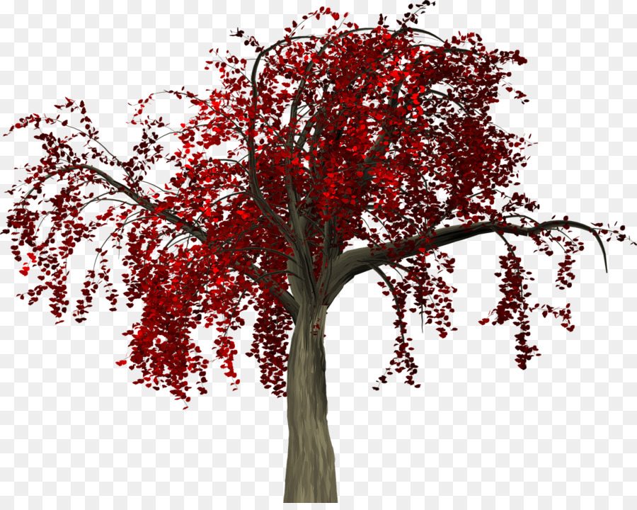 Arbre Rouge，Feuilles PNG