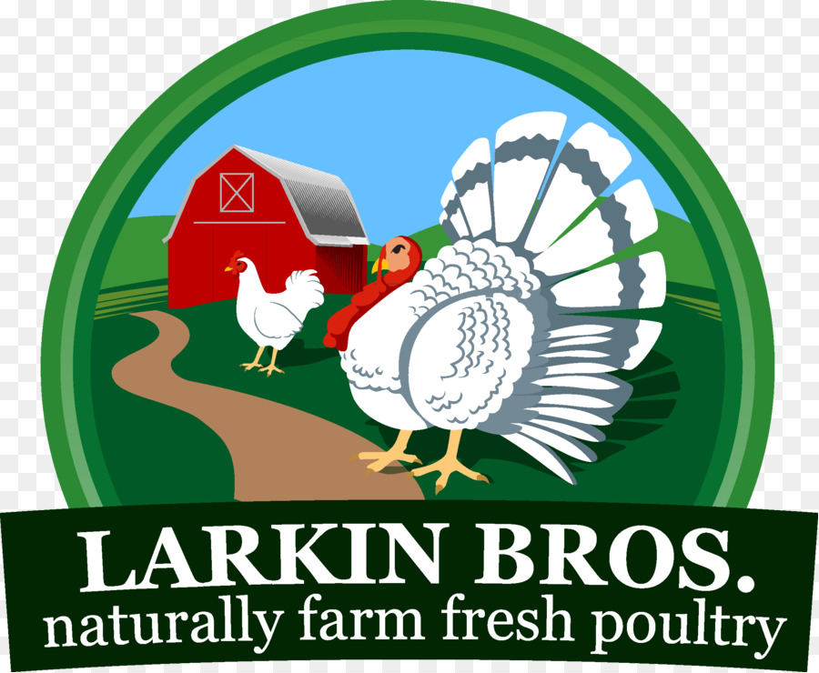 Larkin Frères Inc，La Turquie PNG