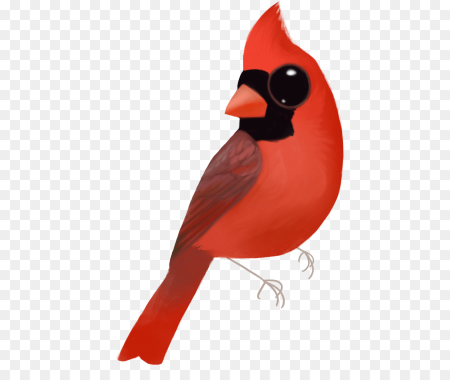 Cardinal，Rouge PNG