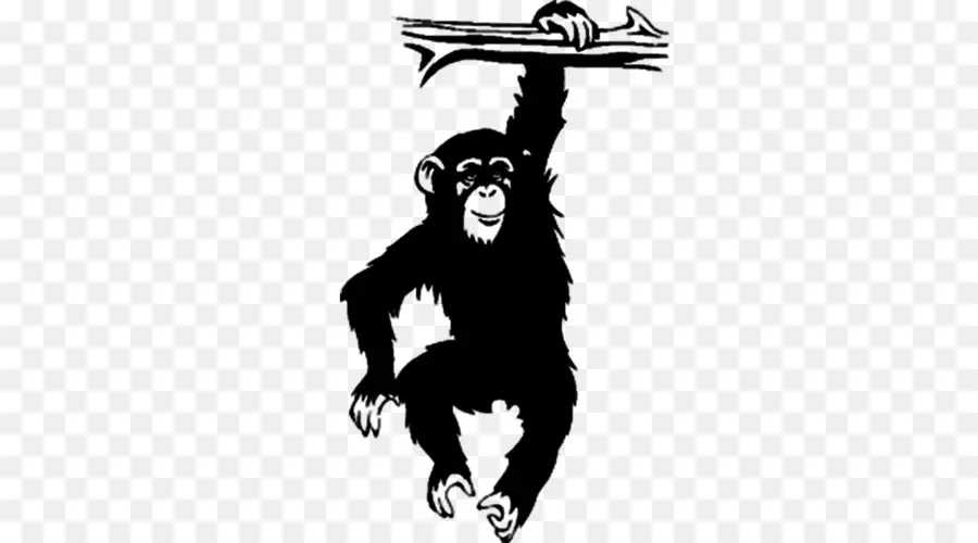 Chimpanzé，Dessin PNG