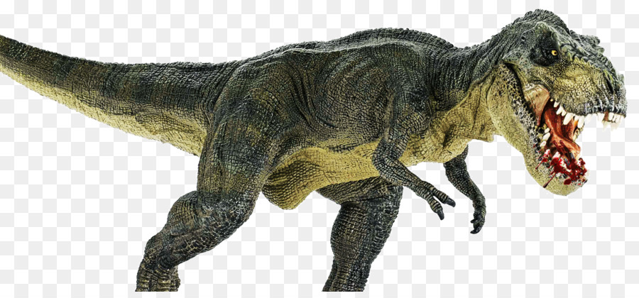 Le Tyrannosaure，Stegosaurus PNG