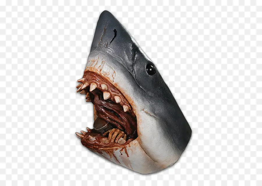 Tête De Requin，Dents PNG