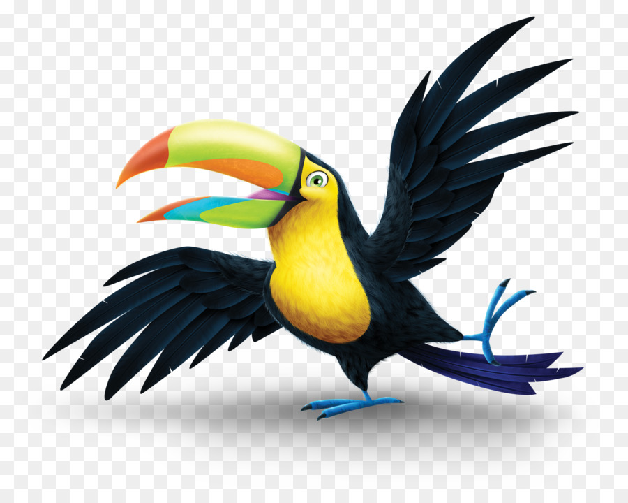 Toucan，Coloré PNG