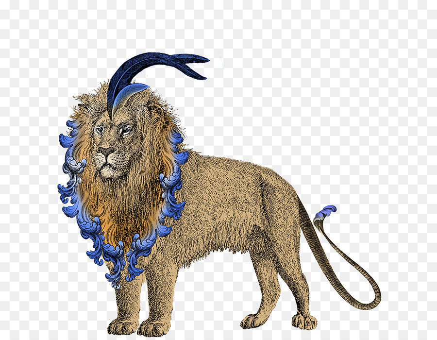 Lion，Penhaligon PNG