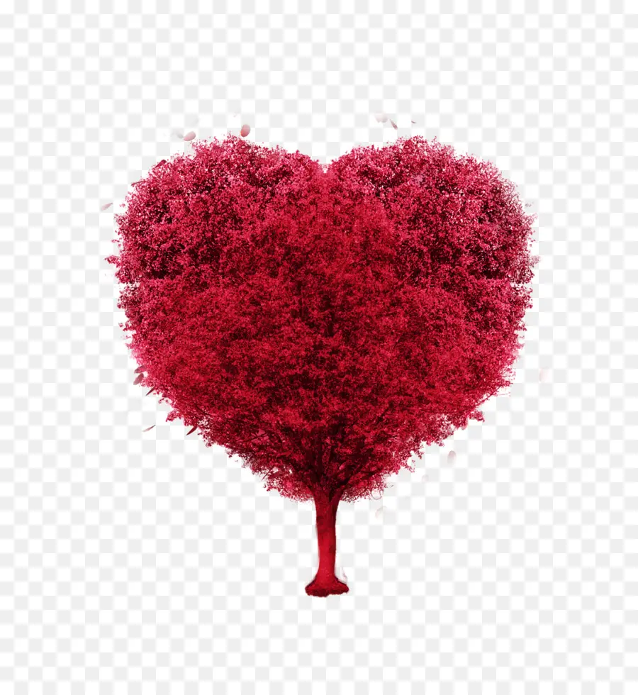 Arbre Coeur，Amour PNG