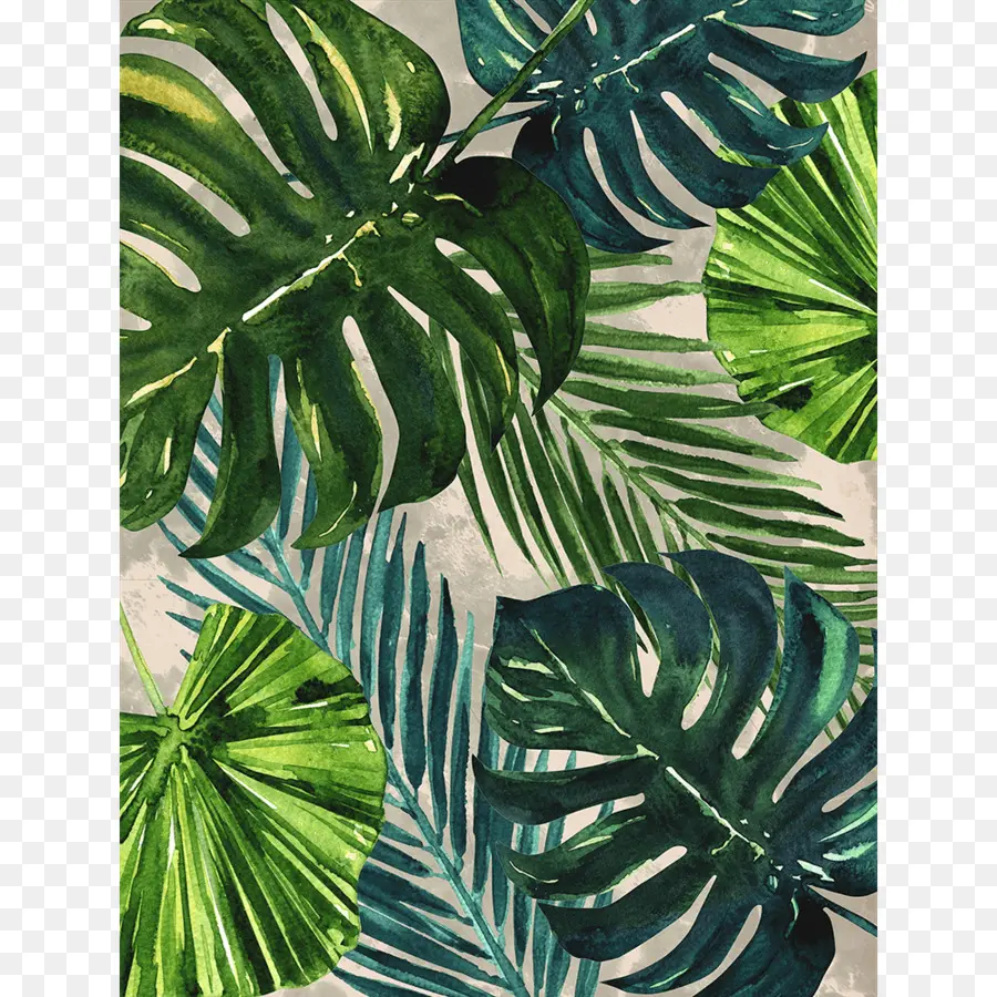 Feuilles Tropicales，Plantes PNG