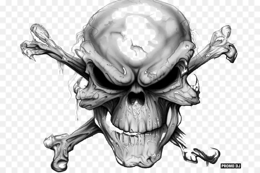 Le Crâne Et Les Os，Crâne Humain Symbolisme PNG