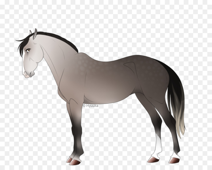 Cheval，équidé PNG