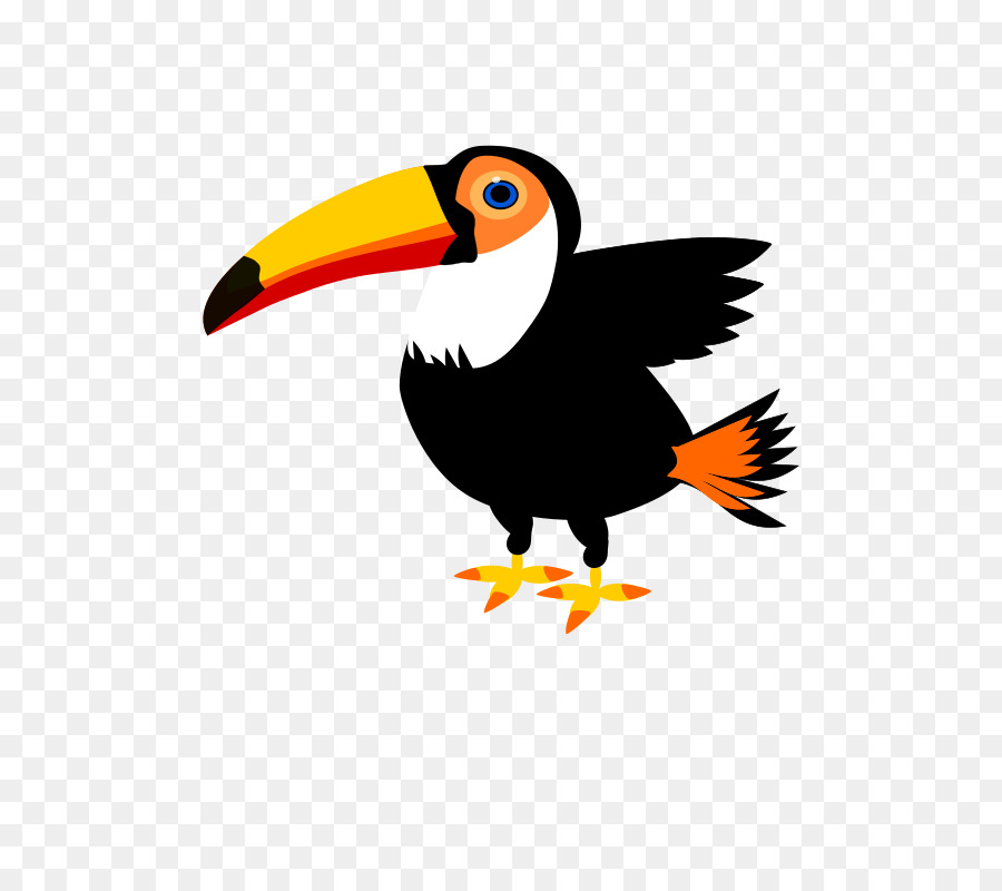 Le Toucan，Perroquet PNG