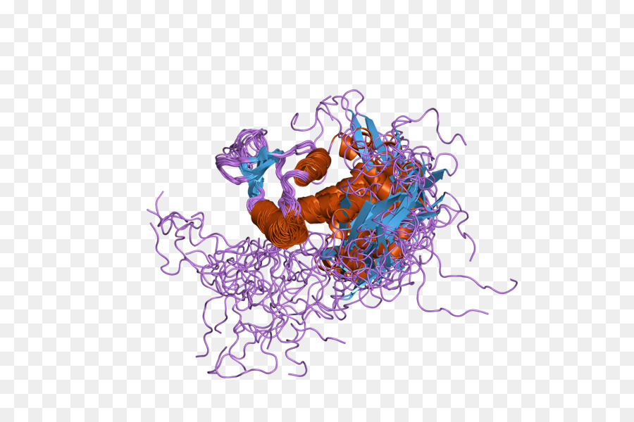 Structure Des Protéines，Molécule PNG