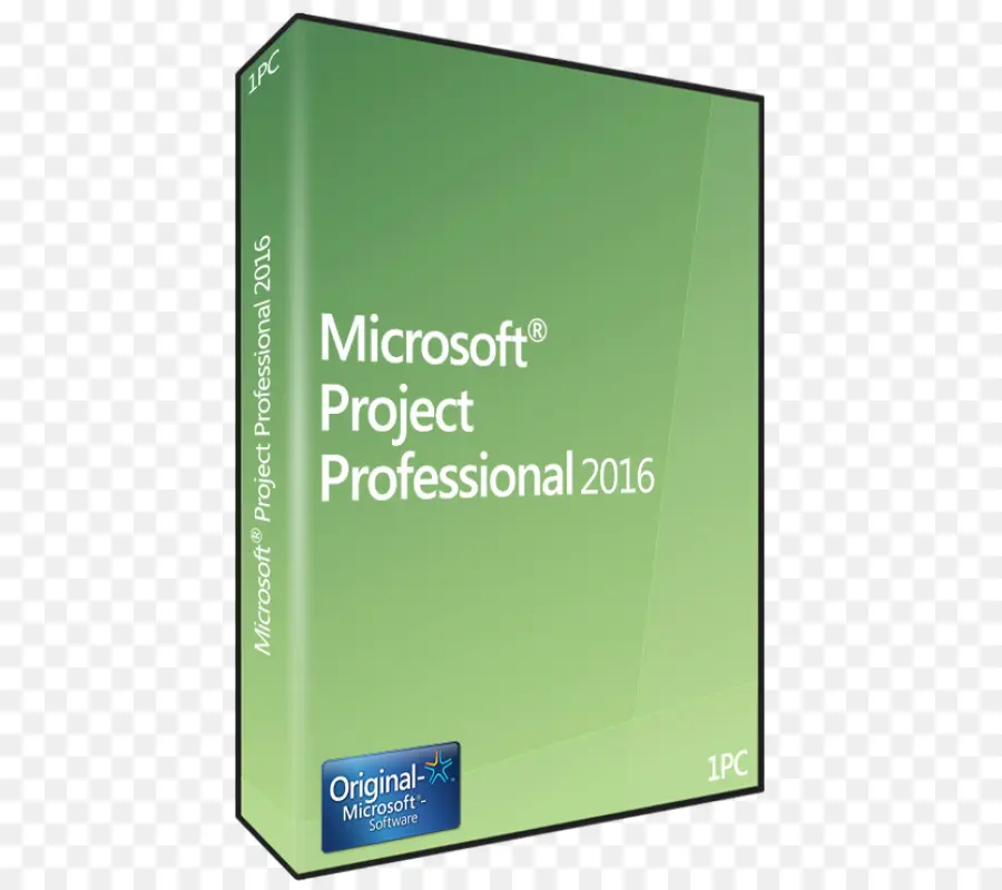 Microsoft Project Professionnel 2016，Programme PNG