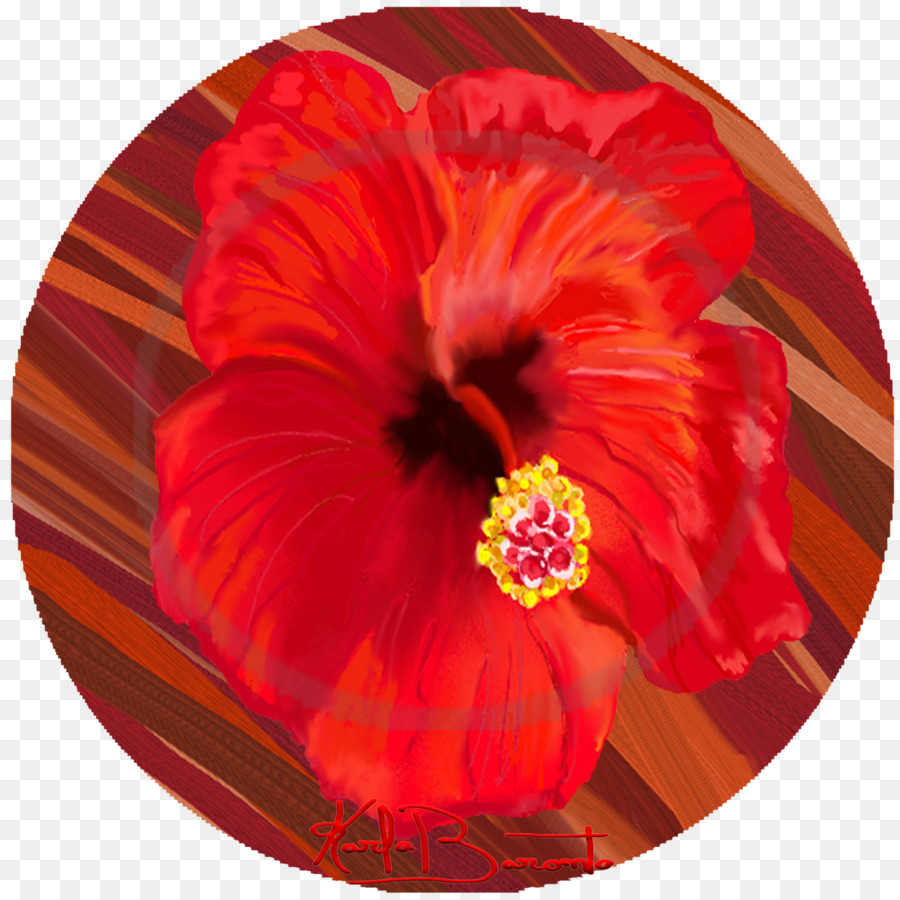 Hibiscus，La Cuisine Chinoise PNG