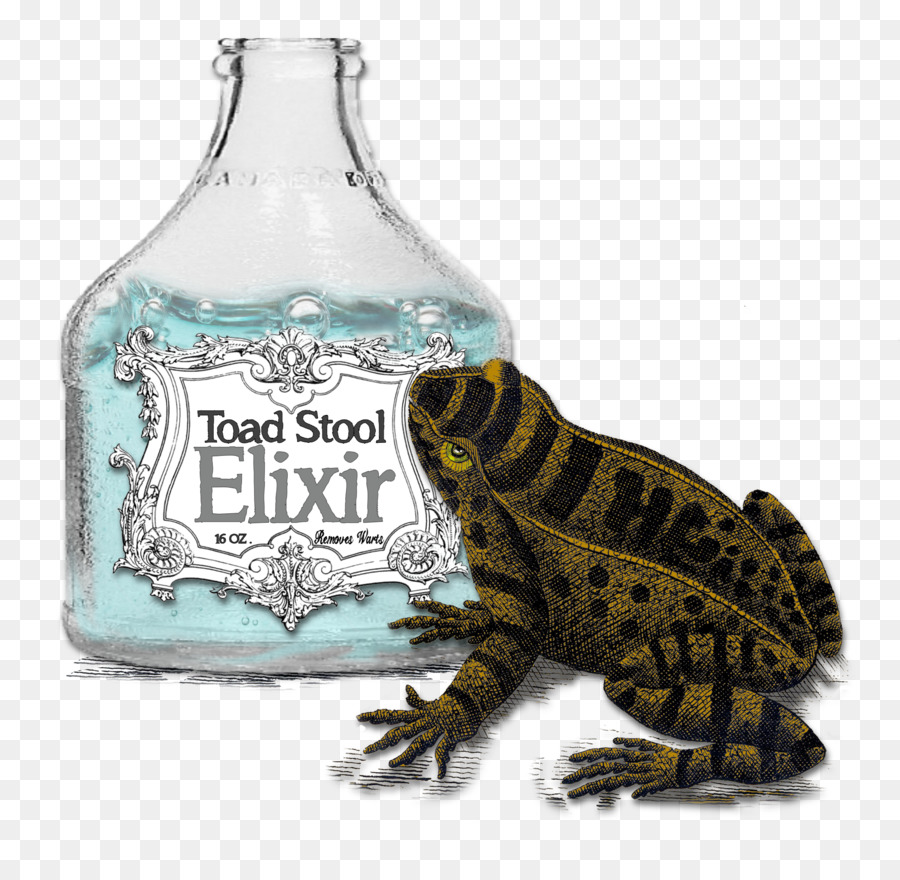 Grenouille，Bouteille En Verre PNG