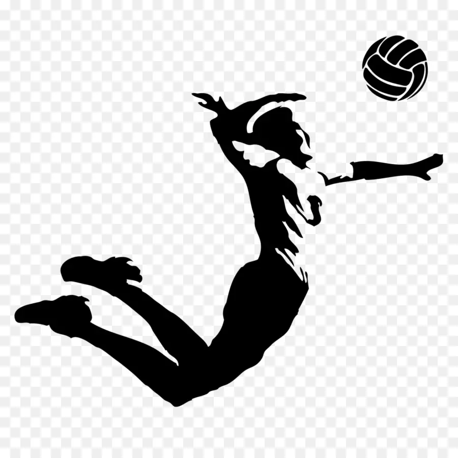 Volley Ball，Vous Zenitkazan PNG
