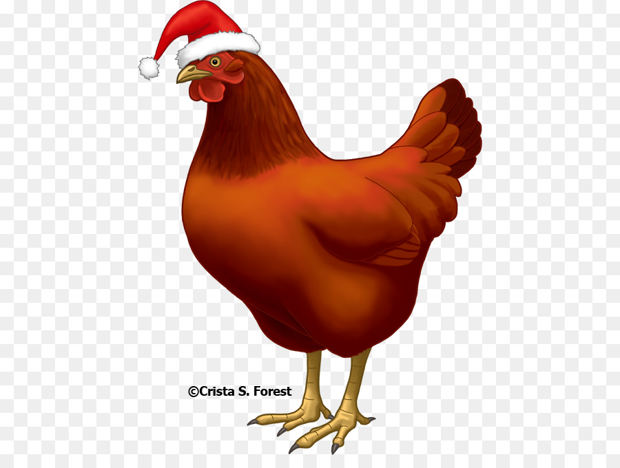 Poulet Avec Chapeau De Père Noël，Oiseau PNG