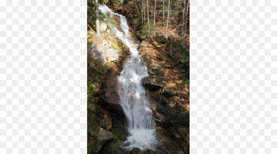 Cascade，Forêt PNG