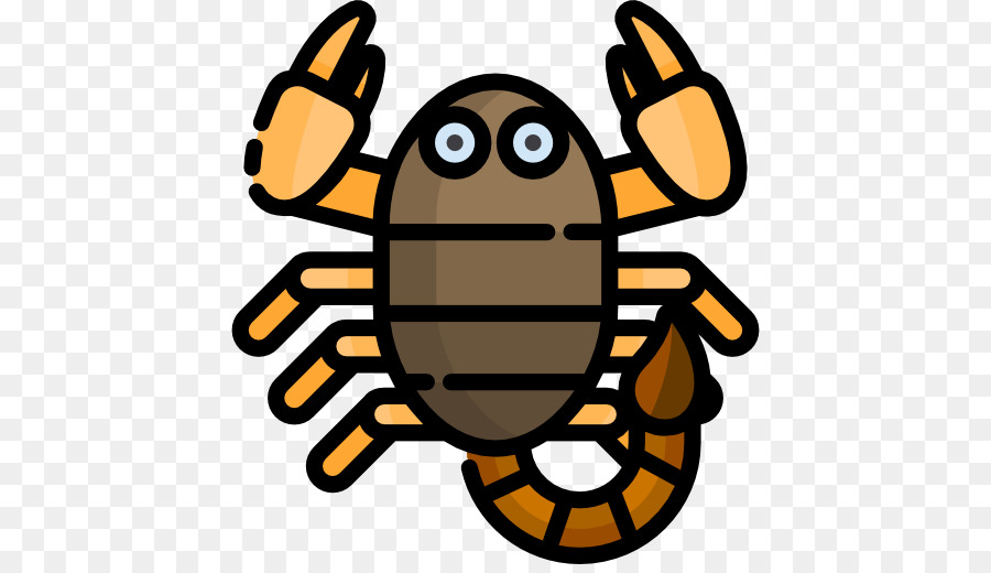 Araignée De Dessin Animé，Insecte PNG