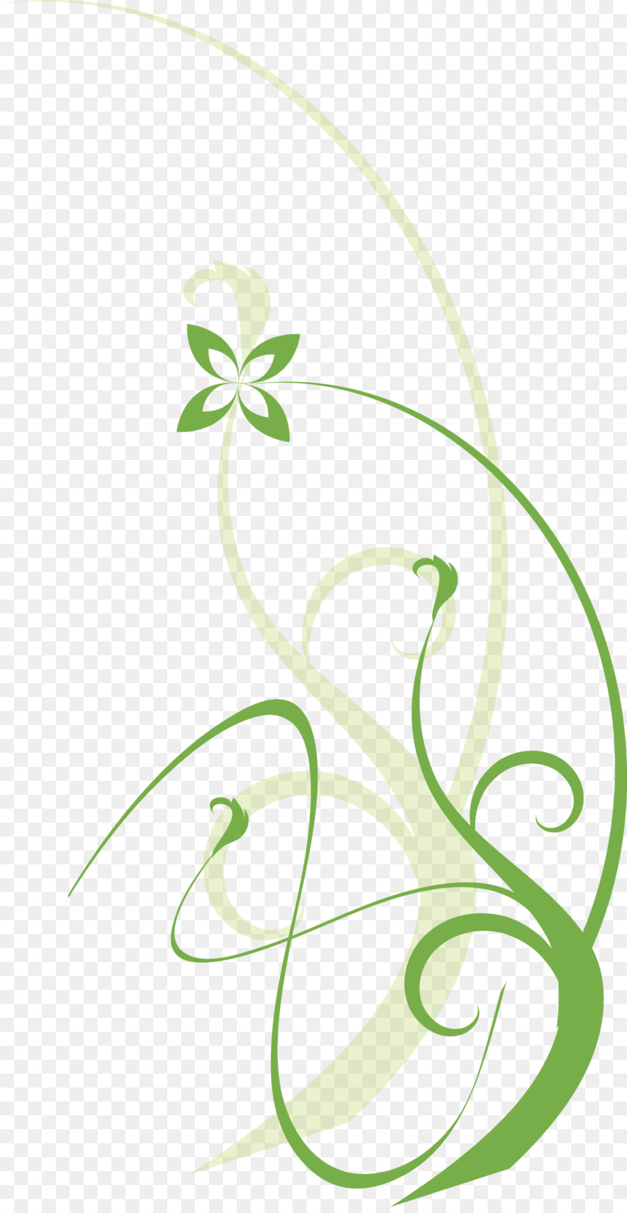 Conception Florale，Fleurs PNG