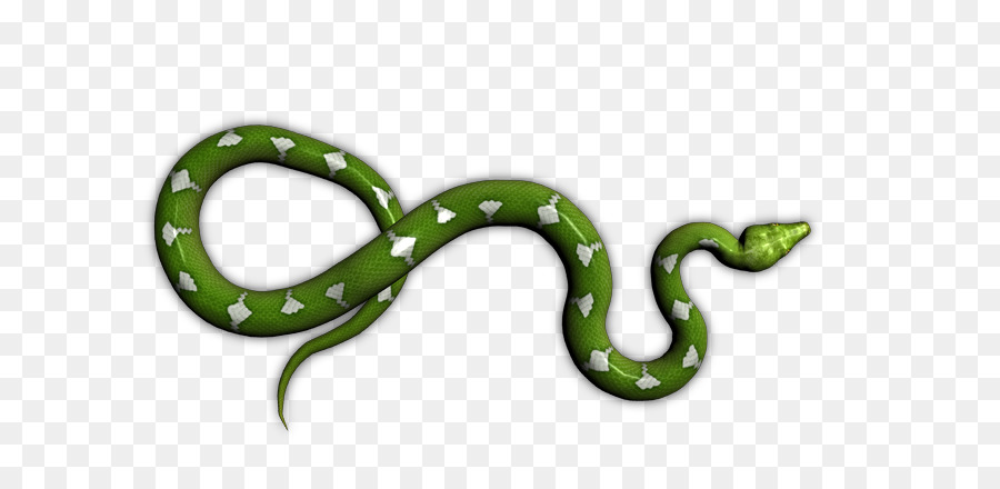 Serpent Vert，Reptile PNG