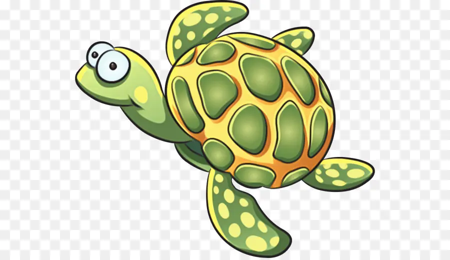 Tortue De Dessin Animé，Reptile PNG