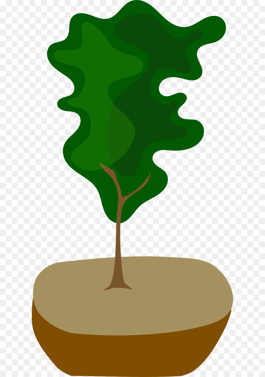 Arbre，Pin PNG