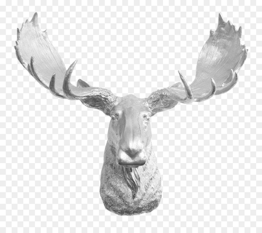 L Orignal，Cerf PNG