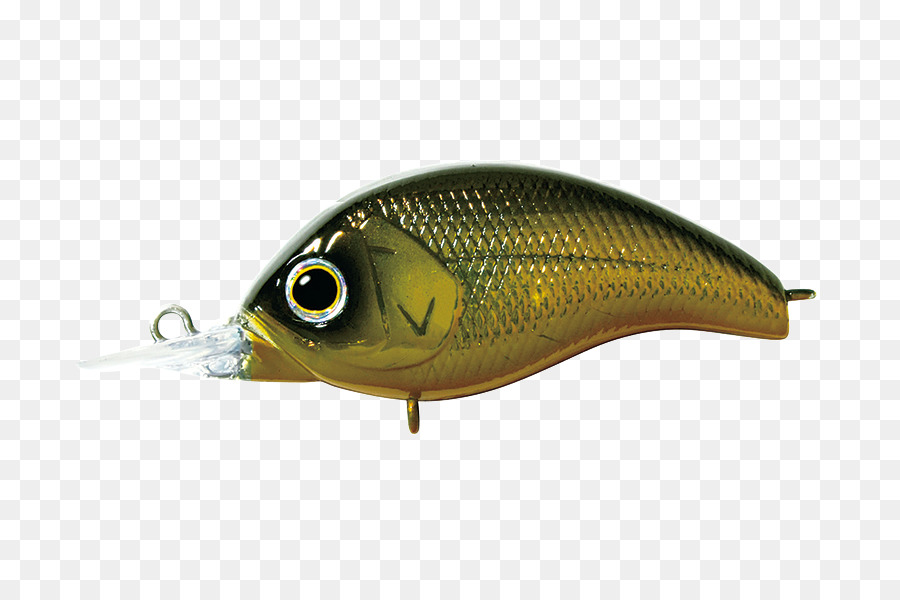 Leurre De Pêche，Appât PNG