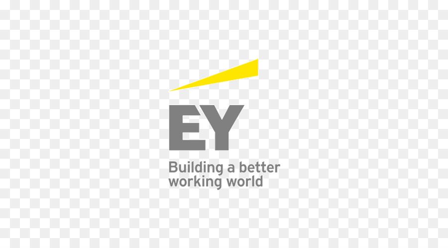 Ernst Young，Ernst Young Advisory Services Sdn Bhd 811619 M PNG